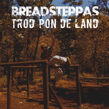 Trod Pon De Land (Dub) | Boomplay Music