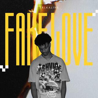 Fake Love lyrics | Boomplay Music