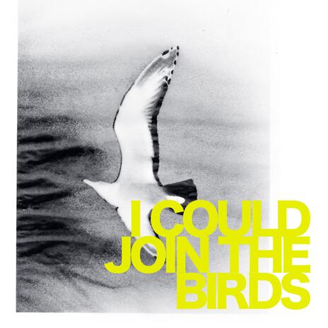 I Could Join the Birds | Boomplay Music