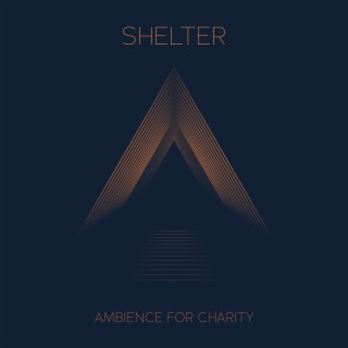 Shelter