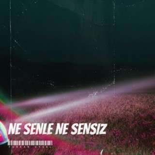 Ne Senle Ne Sensiz