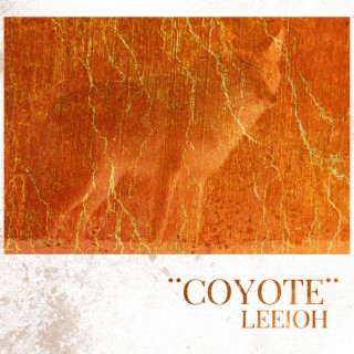 Coyote