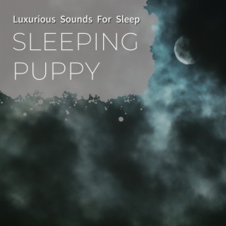 Luxurious Sounds for Sleep