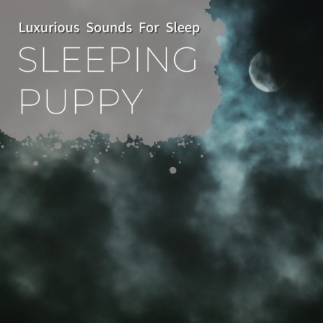 A Quick Nap | Boomplay Music