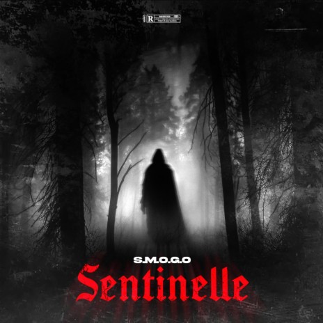 Sentinelle | Boomplay Music