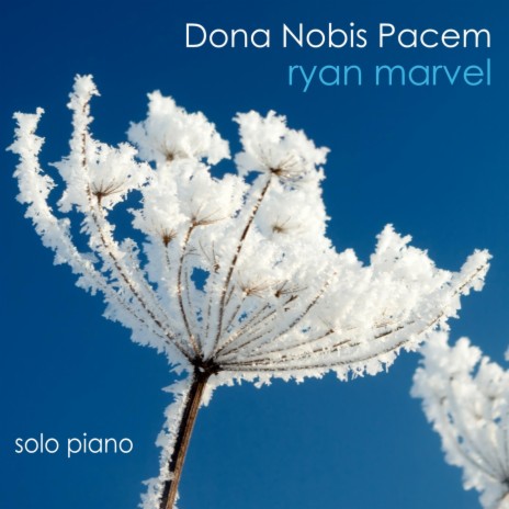 Dona Nobis Pacem | Boomplay Music