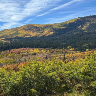 Open Range Open Skies