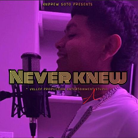 Never knew | Boomplay Music