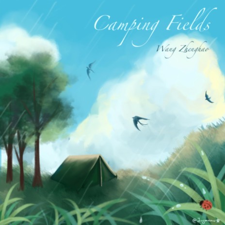 Camping Fields | Boomplay Music