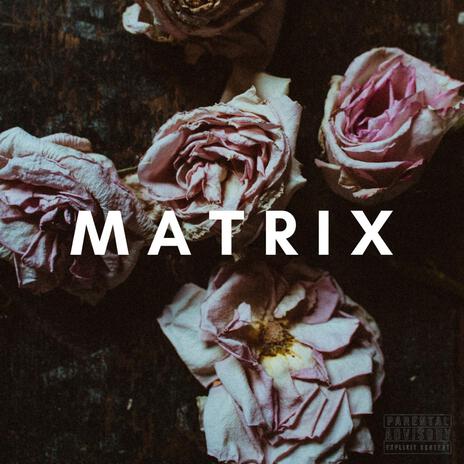 Matrix | Boomplay Music