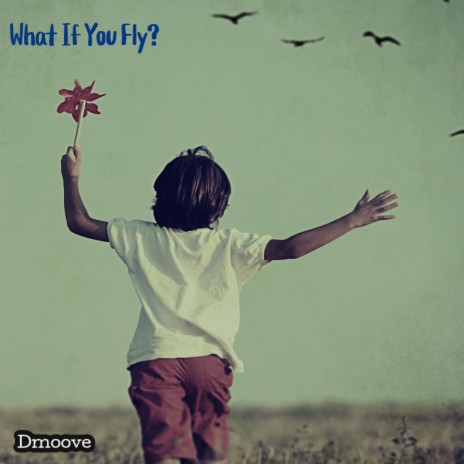 What If You Fly? | Boomplay Music