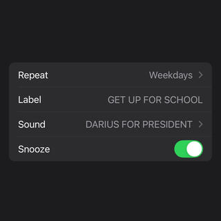 GET UP FOR SCHOOL (SNOOZE)