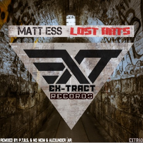 Lost Arts (P.T.B.S. Remix) | Boomplay Music