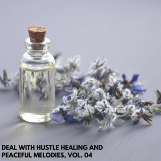 Deal with Hustle Healing and Peaceful Melodies, Vol. 04