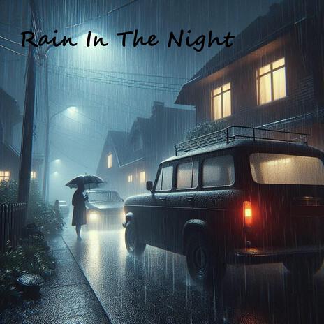 Rain In The Night