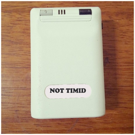 Not Timid | Boomplay Music