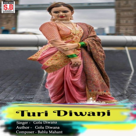 Turi Diwani | Boomplay Music