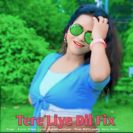 Tere Liye Dil Fix | Boomplay Music