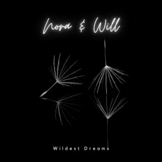 Wildest Dreams (Acoustic)