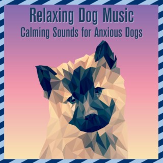 Relaxing Dog Music: Calming Sounds for Anxious Dogs