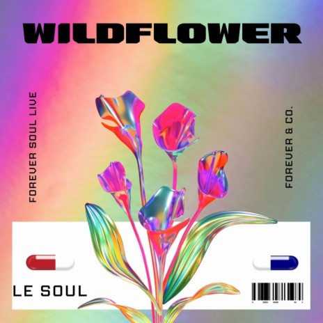 WILDFLOWER | Boomplay Music