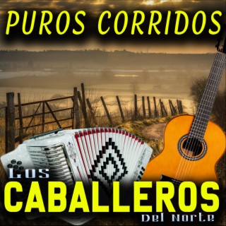 Puros Corridos