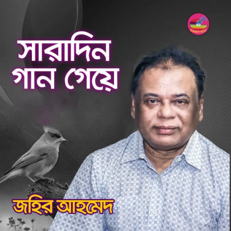 Saradin Gan Geye | Boomplay Music