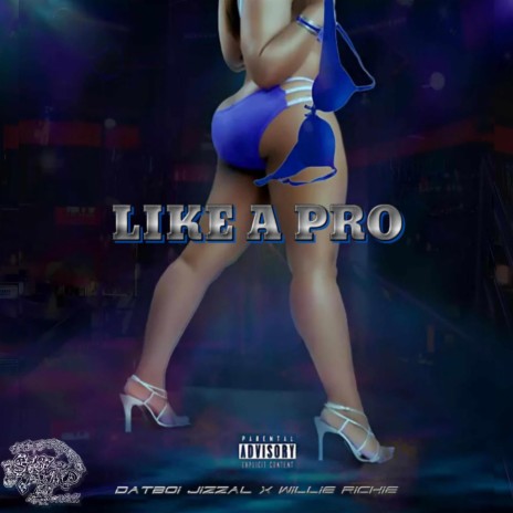 Like a pro ft. Willie Richie | Boomplay Music