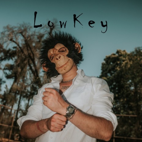 LowKey | Boomplay Music