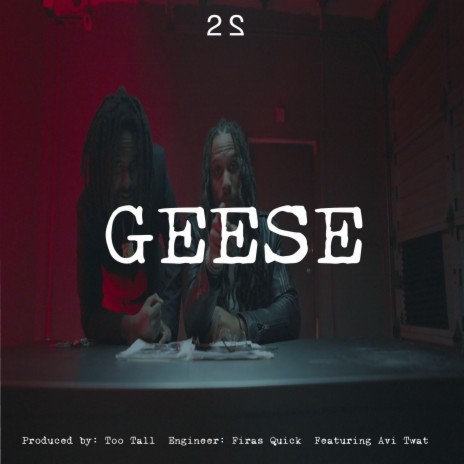Geese ft. Avi Twat | Boomplay Music