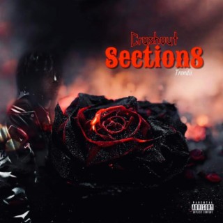 Section 8