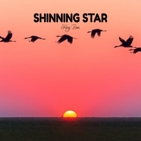 Shining Star | Boomplay Music