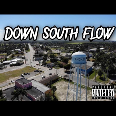 Down South Flow | Boomplay Music