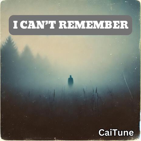 I Can't Remember | Boomplay Music