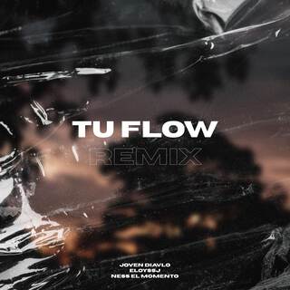 Tu Flow (Remix)