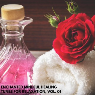 Enchanted Mindful Healing Tunes for Relaxation, Vol. 01