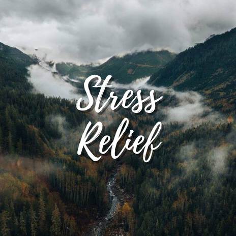 Stress Relief Music | Boomplay Music