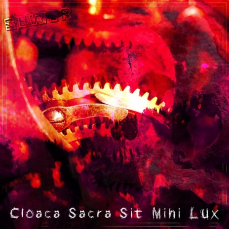 Cloaca Sacra Sit Mihi Lux | Boomplay Music