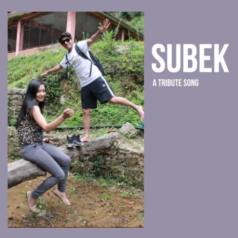 Subek | Boomplay Music