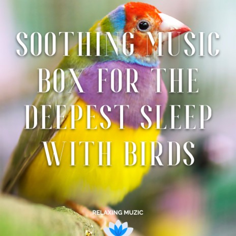 Music Box Lullaby - Sunday Birds, Forest Sound