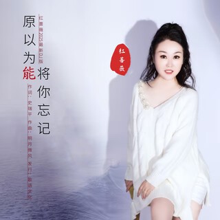 原以为能将你忘记（DJ女版）