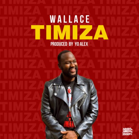 Timiza | Boomplay Music