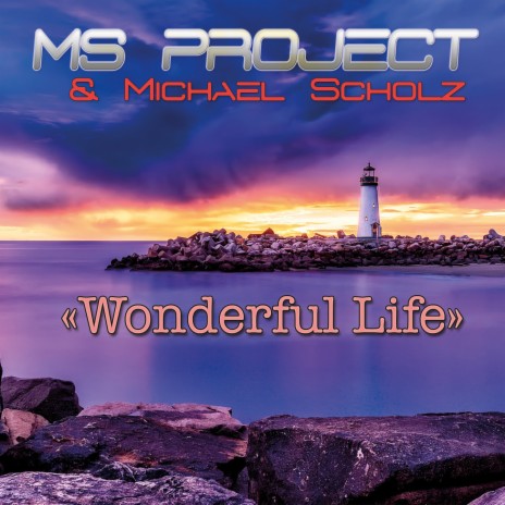 Wonderful Life (Long Version) ft. Michael Scholz | Boomplay Music