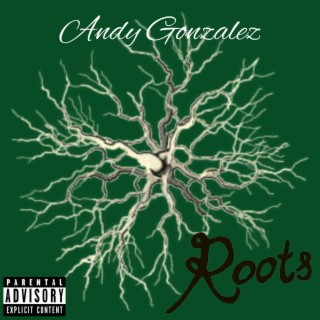 Roots