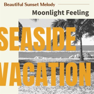 Beautiful Sunset Melody - Moonlight Feeling