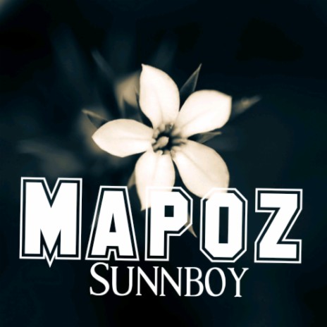 Mapoz (feat. Diamond platnumz,Jay melody & Rayan Vibez)