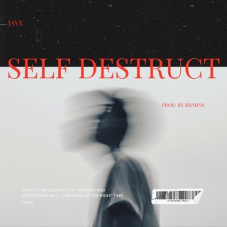 SELF DESTRUCT