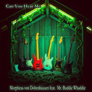 Can You Hear Me lyrics | Boomplay Music