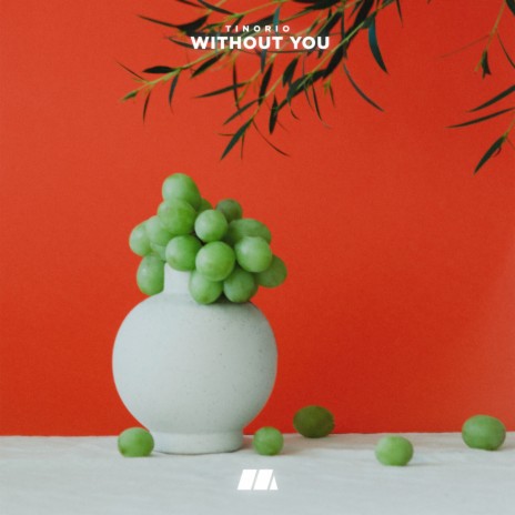 Without You | Boomplay Music