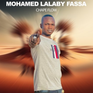 Mohamed Lalaby fassa